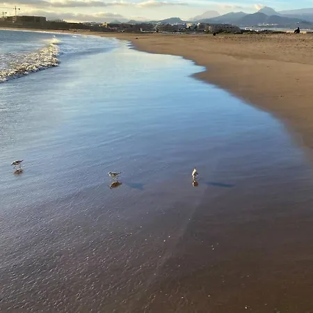 ático De Proa, En La Mejor Playa Del Médano *