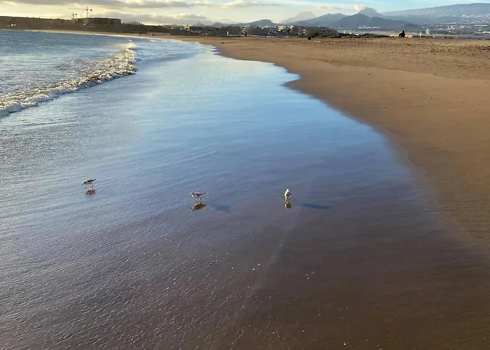 Atico De Proa, En La Mejor Playa Del Medano *